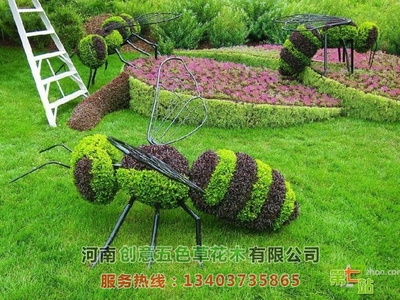 立体花坛