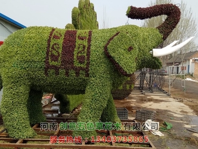 立体花坛