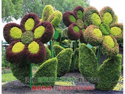 立体花坛