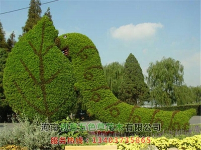 立体花坛