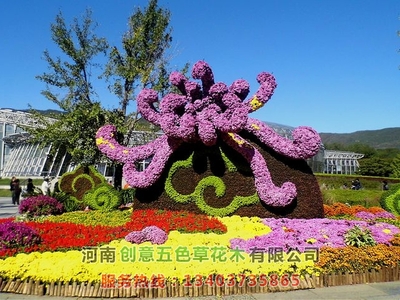 菊花造型
