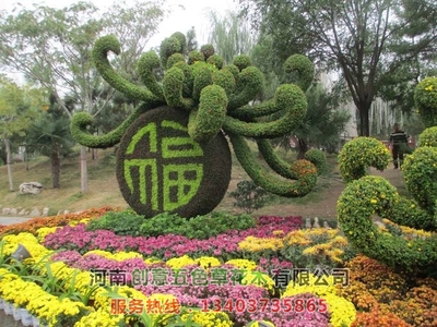 菊花造型