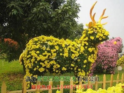 菊花造型