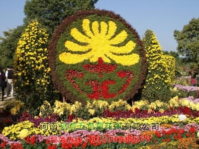 菊花造型