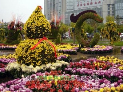 菊花造型