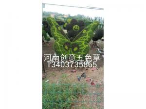 植物绿雕