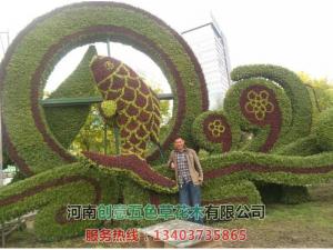 动植物造型