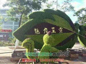 动植物造型