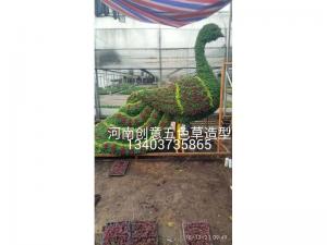 动植物造型
